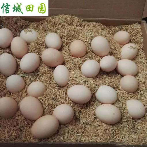 鸡蛋 1公斤