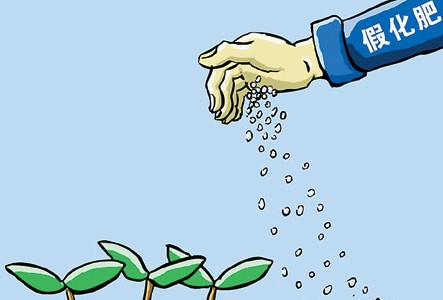 政策变局中化肥市场迎来涨声